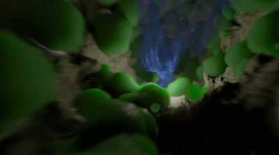 CO2 is what plants
photosynthesize, - Fantastic Fungi