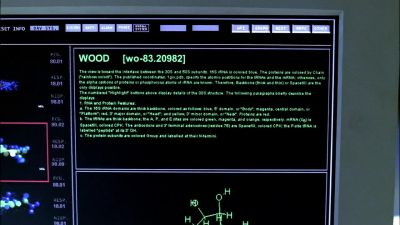 Coal. - CSI: Crime Scene Investigation