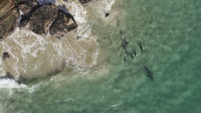 Coasts are dynamic,
dangerous frontiers. - Planet Earth III