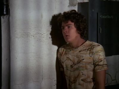[ COCKS ] - Hawaii Five-O
