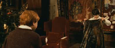 Codswallop. - Harry Potter and the Philosopher's Stone