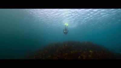 Cold, my wetsuit's
digging into my neck; - Billy & Molly: An Otter Love Story