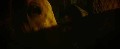 -[Cole exhales]
-[horse grunts] - Concrete Cowboy