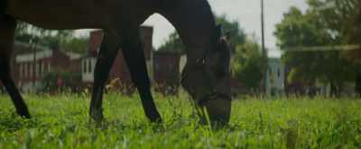 [Cole] I don't really know
what to be ready for, so… - Concrete Cowboy