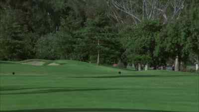 COLLINGSGOOD:
What a shot, Timothy!
What a shot! - Now You See Him, Now You Don't