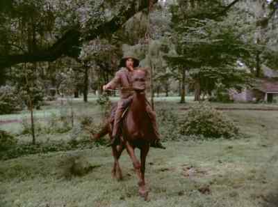 Colonel, I seen 'em.
They're right down the road. - The Autobiography of Miss Jane Pittman