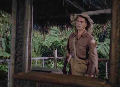 Colonel Phillips? - American Guerrilla in the Philippines