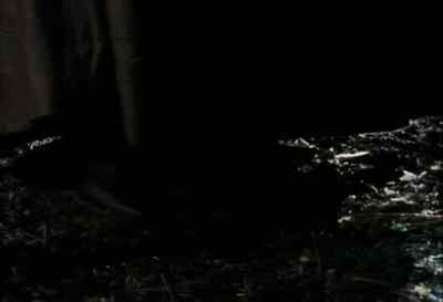 Come along. Come along. - Count Dracula