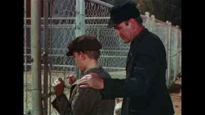Come along now, lad.
Get it over with. Bid her stay, - Lassie Come Home