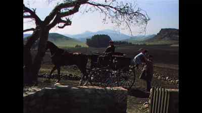 Come along. - Lassie Come Home