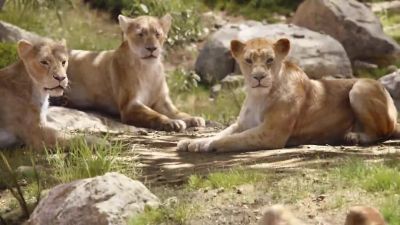 Come along - The Lion King