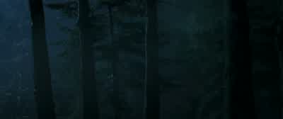 Come and get us, asshole! - The Predator
