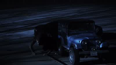 Come back, come back! - Teen Wolf