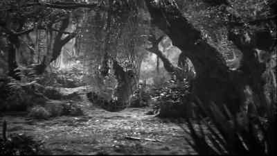 Come back here, boy.
Boy, let this net down. Come here. - Tarzan's New York Adventure