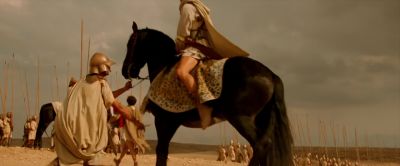 Come Bucephalus Today we ride to our destiny - Alexander