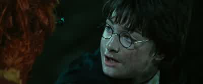 Come, Dobby. - Harry Potter and the Chamber of Secrets