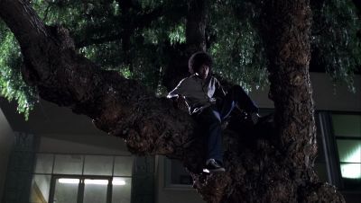 Come down out of that tree - Love Don't Cost a Thing