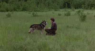 Come here.
All right. - White Fang