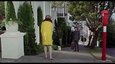 Come here, boy. - Eye of the Cat