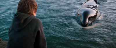 Come here, boy. - Free Willy