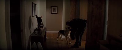 Come here. Hey. Hey. - I Am Legend