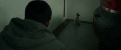 Come here, kitty - Burning