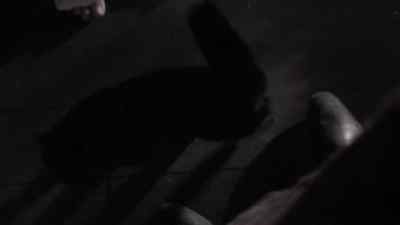 Come here, pluto.
Pluto? - Masters of Horror