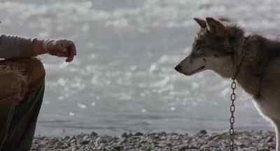Come here. - White Fang