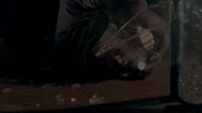 Come here. - The Walking Dead