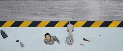 Come in. - Isle of Dogs