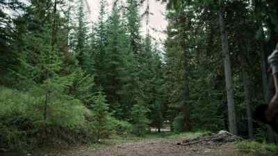 Come live all
your vacation dreams - The Bear Lake Murders