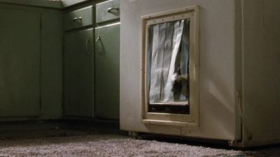 Come to me jungle friends - Ace Ventura: Pet Detective