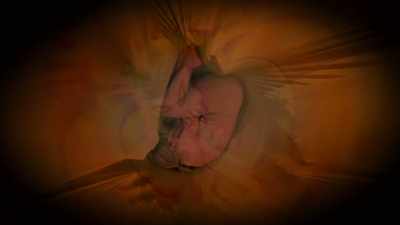 Come nine months, plus/minus, - The Way of the Psychonaut