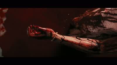 Come on Are you seeing thisWait Come on - Carrie