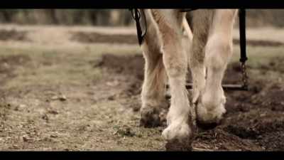 Come on around. Come on around. - Lawmen: Bass Reeves