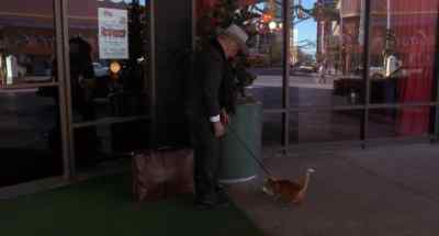 Come on, baby. - Harry and Tonto