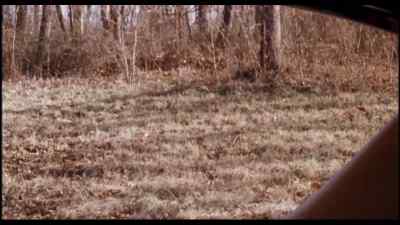 Come on back here!
I ain't through killing you! - Pink Flamingos