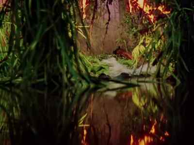 Come on, Bagheera. - Jungle Book