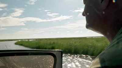 Come on, be something good here. - Swamp People