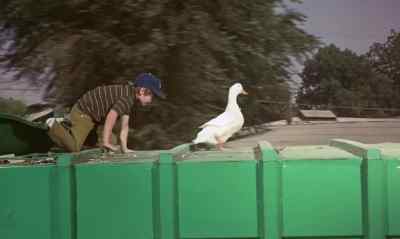 Come on, boy.
Come on. - The Million Dollar Duck
