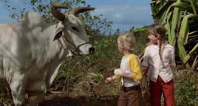 Come on, boy, come on.
Whoa, boy, whoa, boy. Whoa. - The Last Flight of Noah's Ark