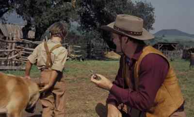 Come on, boy. - Old Yeller