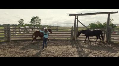 Come on, boy. - Heartland