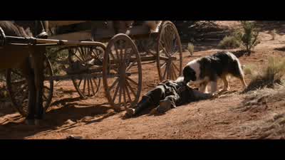 Come on, boy. - A Million Ways to Die in the West