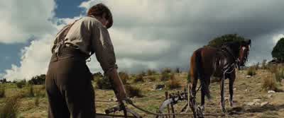 Come on, boy. - War Horse