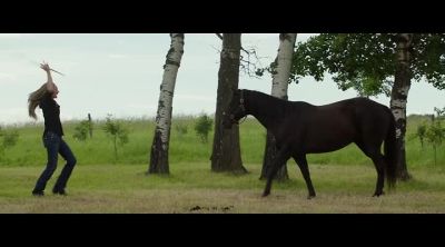 Come on, boy. - Heartland