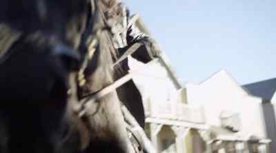 Come on, boy. What's wrong, huh? - Dead Again in Tombstone