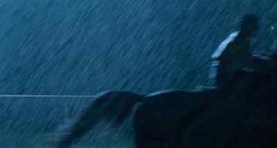 Come on, bring him on! - The Black Stallion