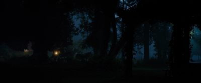 Come on, Buck.
Come on. - The Call of the Wild