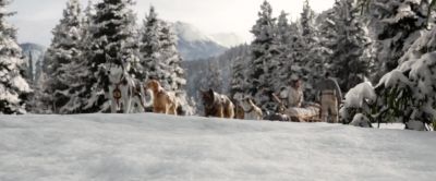 Come on, Buck! - The Call of the Wild